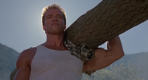 commando