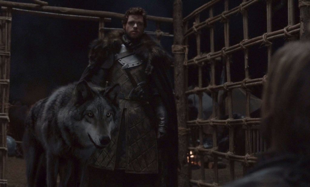 Dónde están los lobos huargos de la Casa Stark de 'Juego de Tronos'?