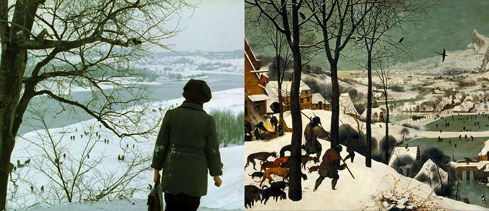 Winter, Snow, Tree, Adaptation, Photography, Plant, Hunting dog, Canidae, 