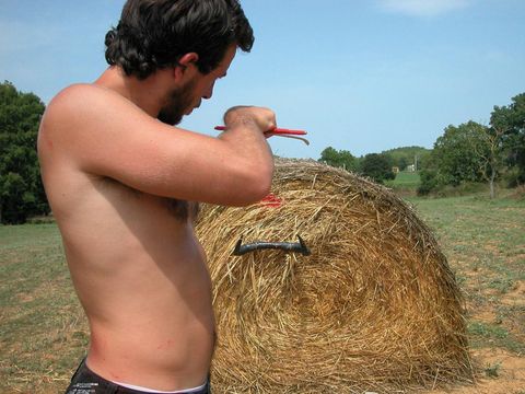 Hay, Straw, People in nature, Agriculture, Neck, Muscle, Barechested, Grass family, Field, Trunk, 