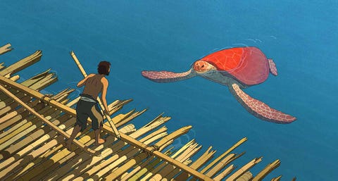 the red turtle the red turtle