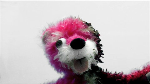 Toy, Magenta, Pink, Stuffed toy, Violet, Snout, Colorfulness, Carnivore, Fur, Bear, 