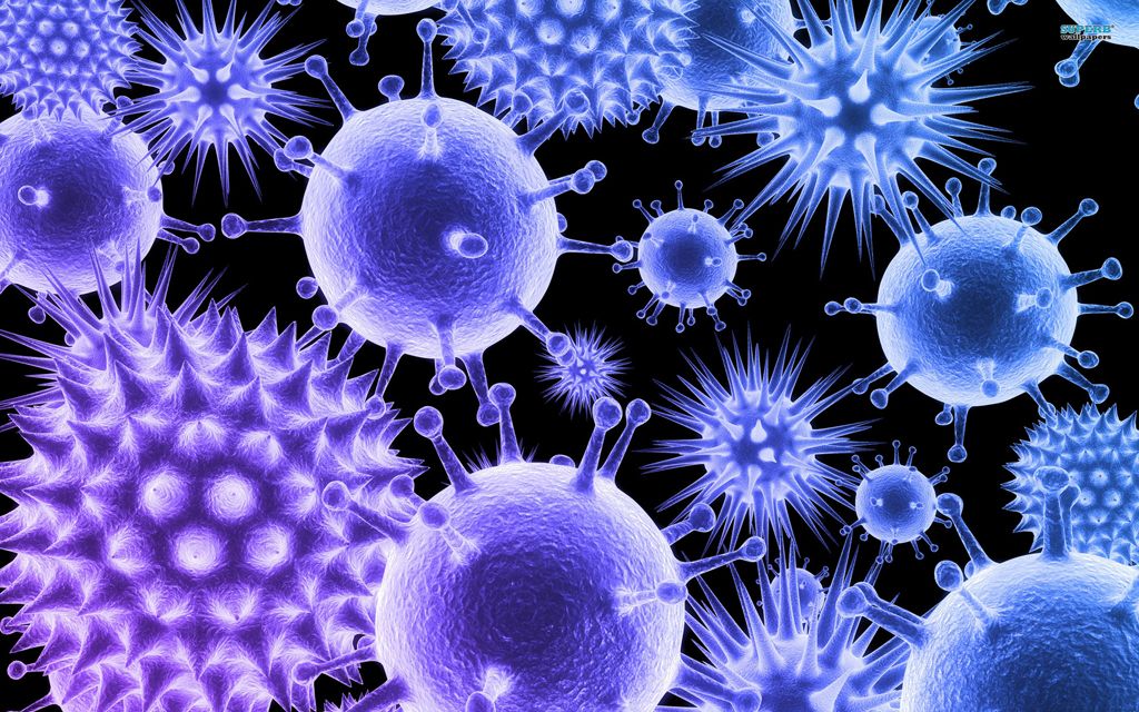 virus