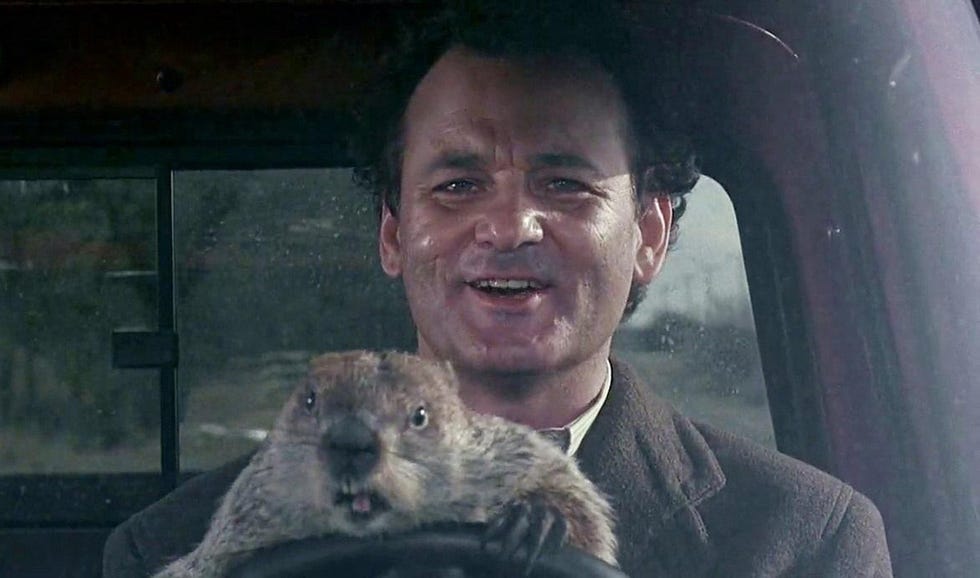 atrapado en el tiempo el día de la marmota bill murray