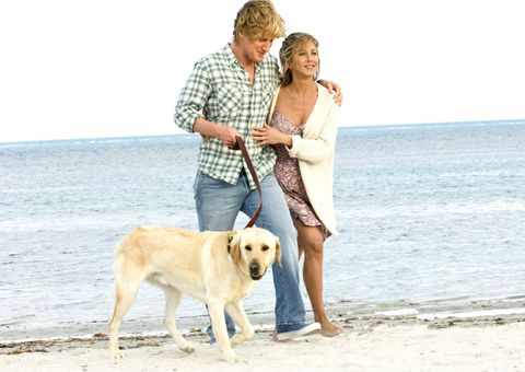 Photograph, Dog, Canidae, Vacation, Fun, Beach, Dog breed, Leash, Photography, Summer, 