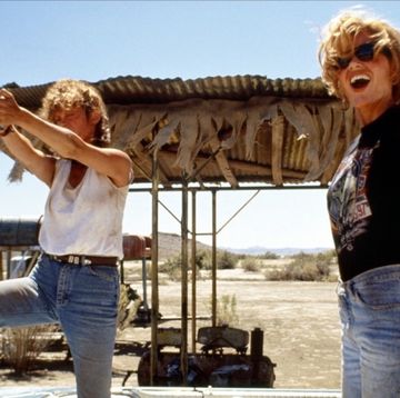 thelma y louise