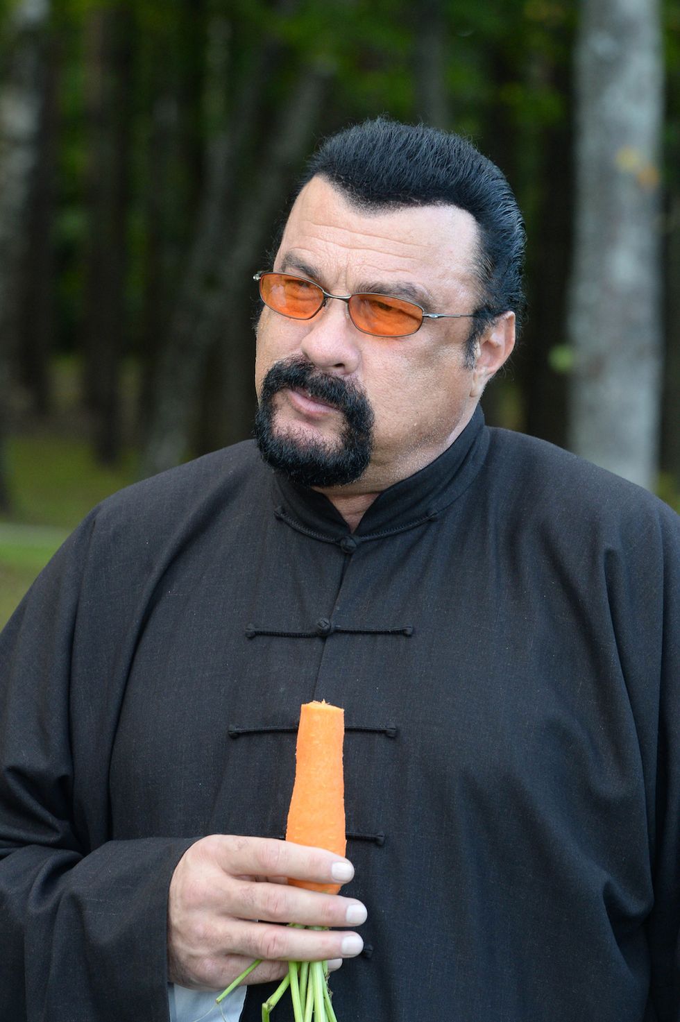 ¿qué Fue De Steven Seagal