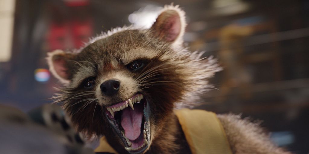 ID - Rocket Raccon !Rocket-Raccoon-sin-piel-da-aun-mas-mal-rollo.jpg?crop=1xw:0