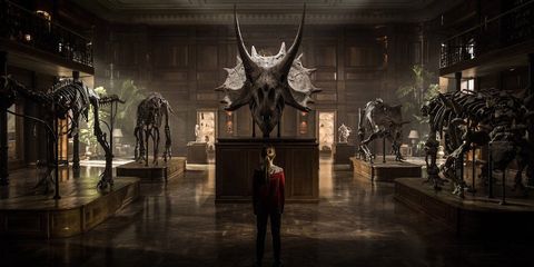 Hall, Collection, Museum, Tourist attraction, Skeleton, Extinction, Sculpture, Ancient history, Cg artwork, History, 
