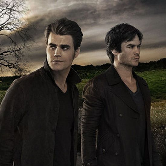 De The Vampire Diaries: Ian Somerhalder anuncia sua saída e série deve  acabar na 8ª temporada! - Purebreak