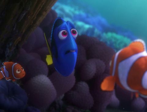 Blue, Organism, Toy, Baby toys, anemone fish, Animation, clownfish, Plush, Baby Products, Fictional character, 