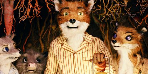 Fantástico Sr. Fox