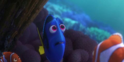 Blue, Organism, Toy, Baby toys, anemone fish, Animation, clownfish, Plush, Baby Products, Fictional character, 