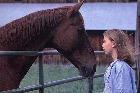 25 Peliculas Sobre La Amistad Entre Ninos Y Animales