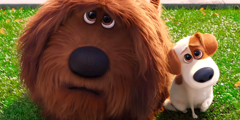 Perros en películas de animación - Cine infantil con
