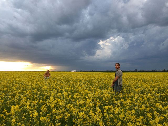 Yellow, Agriculture, Flower, Field, People in nature, Farm, Grassland, Plain, Wildflower, Crop, 