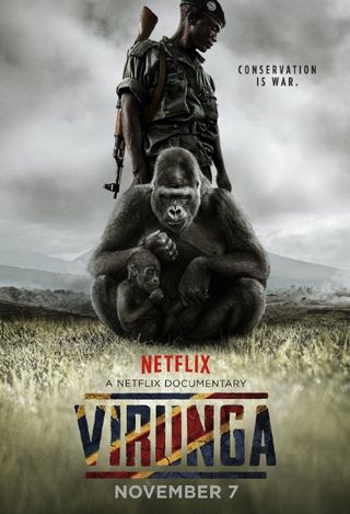 Primate, Adaptation, Ecoregion, Poster, Common chimpanzee, Prairie, Photo caption, Illustration, Advertising, Field, 