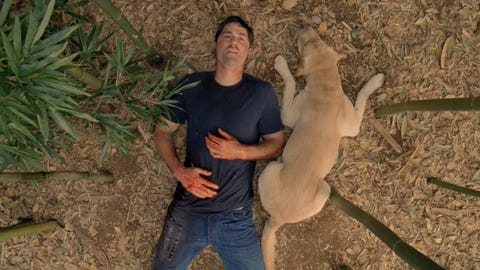 lost series