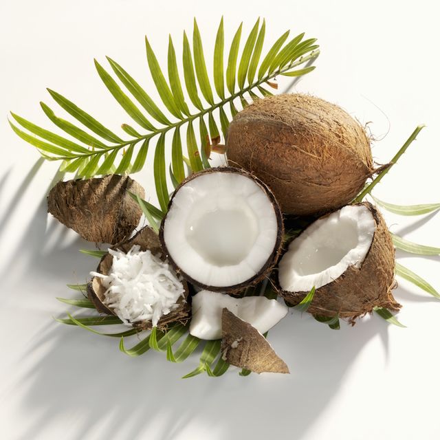 Coconut, Branch, Tree, Leaf, Twig, Plant, Fir, Pine family, Palm tree, Coconut water, 