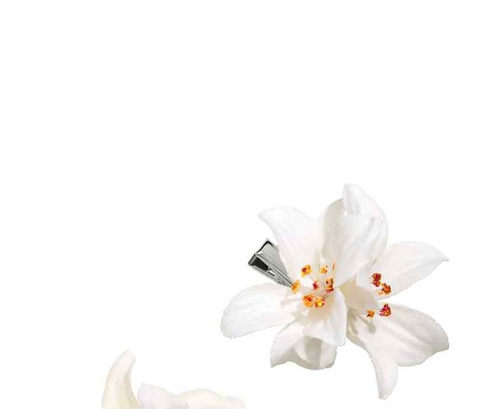 Petal, Flower, Blossom, White, Flowering plant, Botany, Art, Still life photography, Spring, Artificial flower, 