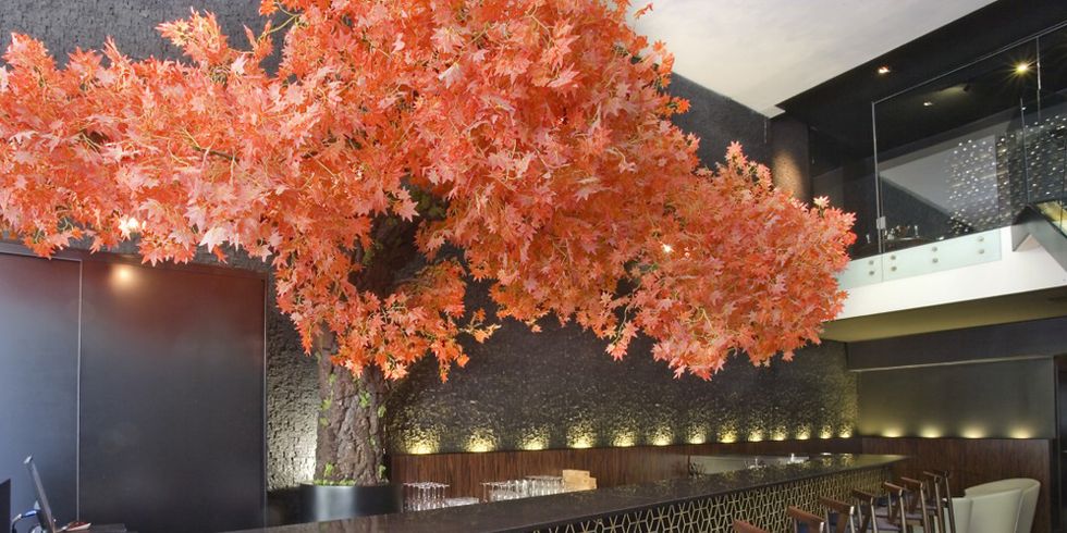 Leaf, Orange, Twig, Decoration, Deciduous, Hall, Autumn, Restaurant, 