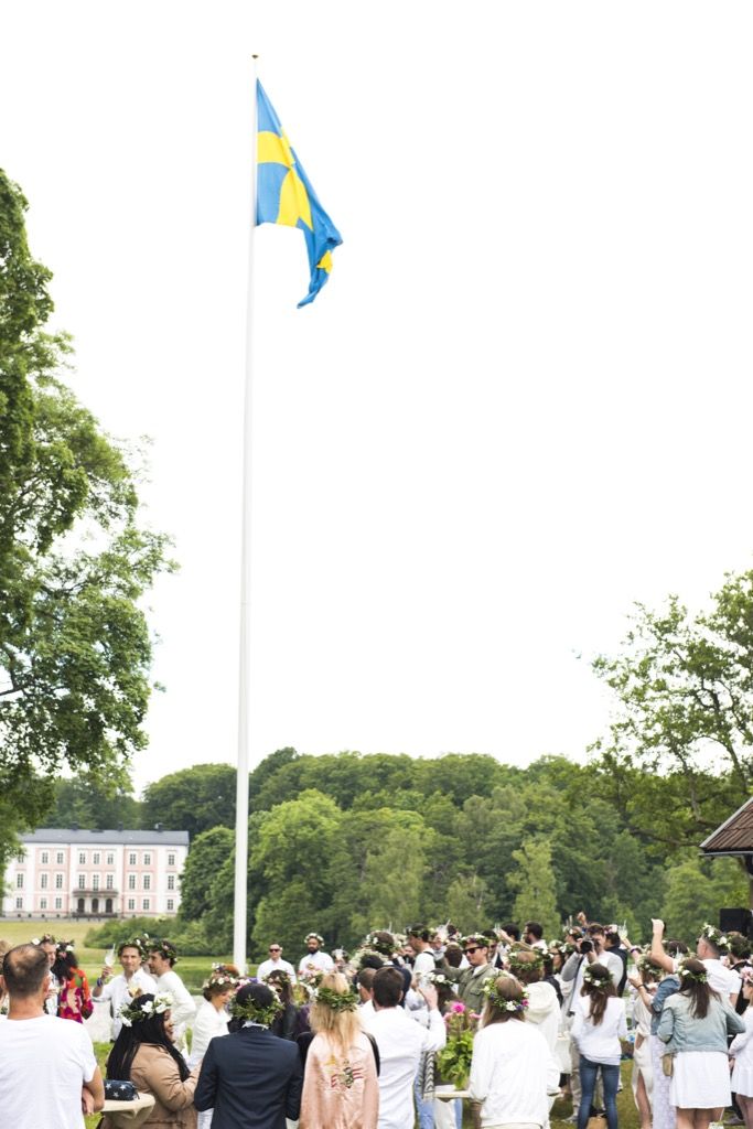Flag, Crowd, Tree, Pole, Summer, Spring, Ceremony, 