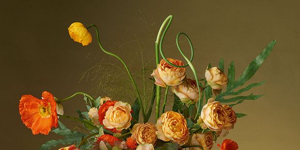 Serveware, Flower, Flowering plant, Botany, Petal, Vase, Artifact, Still life photography, Orange, Art, 