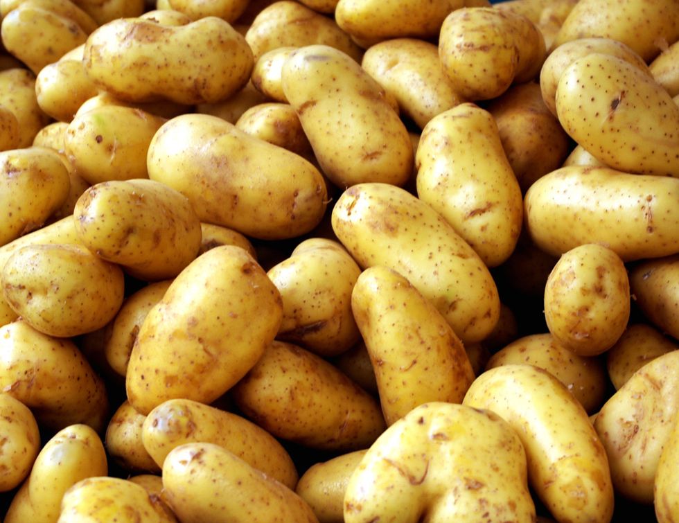 Potato, Food, Root vegetable, Yukon gold potato, Fingerling potato, Vegetable, Ullucus, Tuber, Solanum, Natural foods, 