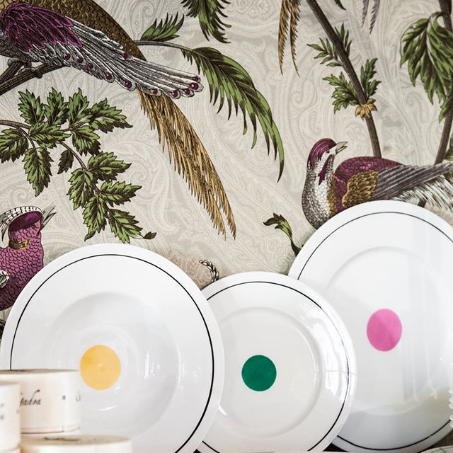 Dishware, Serveware, Home accessories, Arecales, Porcelain, Household supply, Illustration, Conifer, Toilet seat, Pine family, 
