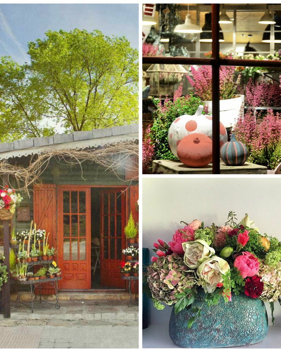 Plant, Flowerpot, Petal, Door, House, Bouquet, Home door, Home, Shrub, Produce, 