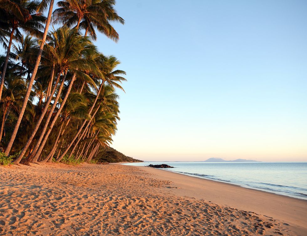 Tree, Beach, Sky, Palm tree, Shore, Tropics, Sand, Sea, Coast, Ocean, 
