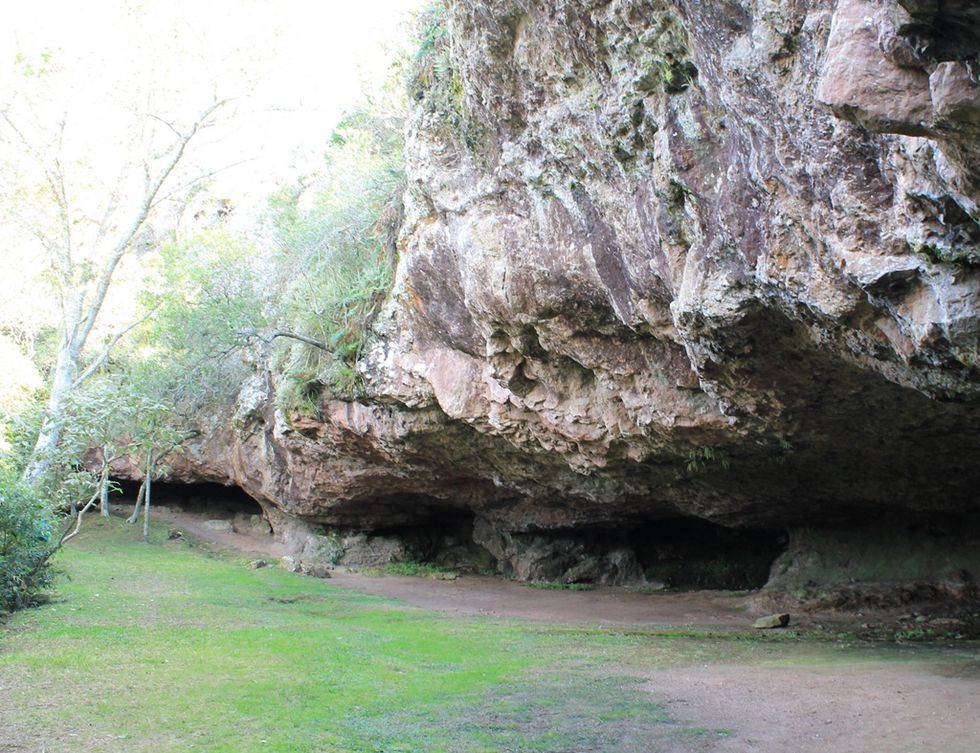 Rock, Formation, Outcrop, Cave, Tree, Geology, Bedrock, Erosion, Plant, Escarpment, 
