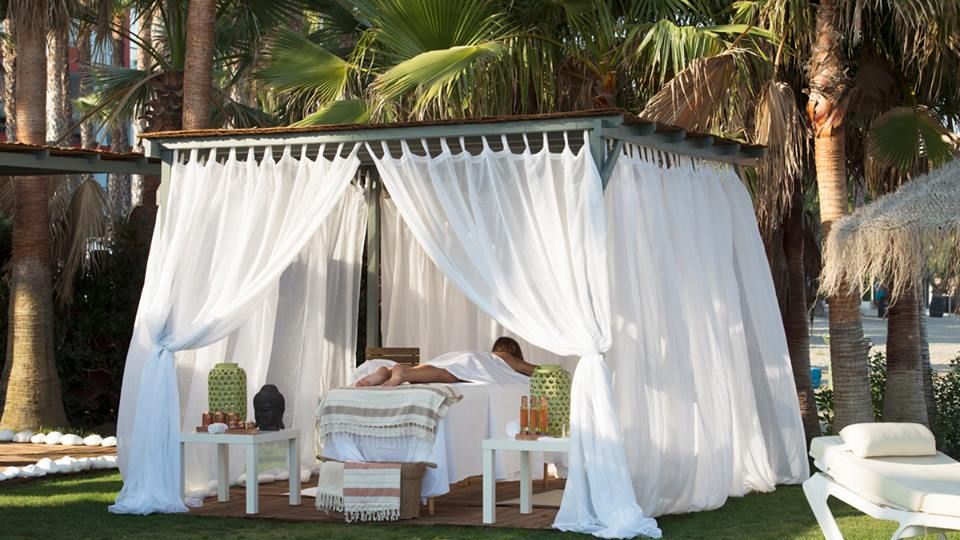 Textile, Linens, Arecales, Shade, Outdoor furniture, Tablecloth, Garden, Palm tree, Yard, Home accessories, 