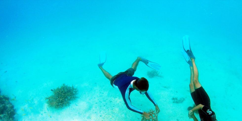 Water, Underwater, Aqua, Recreation, Underwater diving, Scuba diving, Azure, Turquoise, Freediving, Organism, 