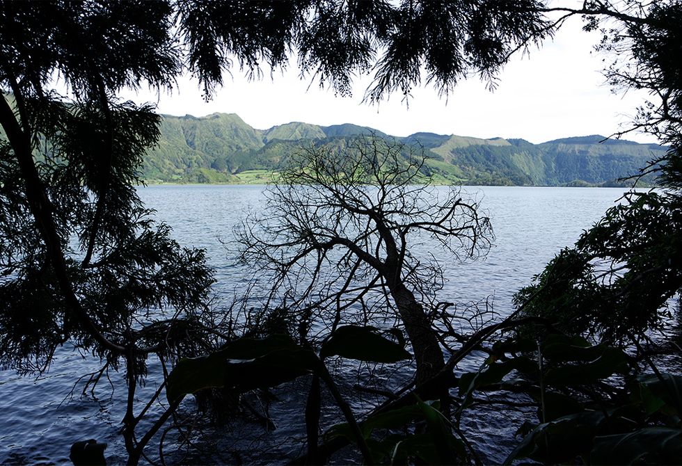Body of water, Water, Nature, Tree, Lake, Loch, Water resources, Lake district, Sky, Natural landscape, 