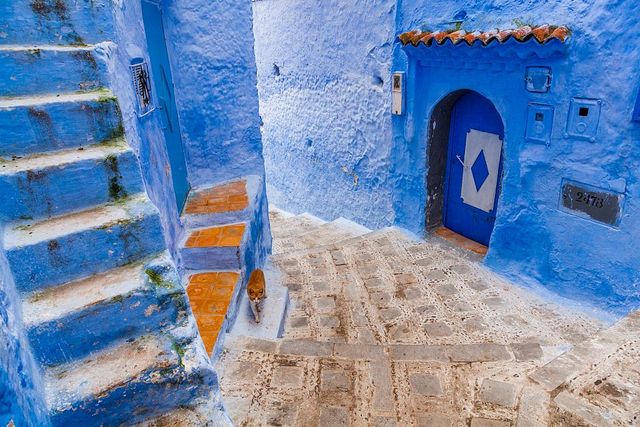 Blue, Azure, Wall, Majorelle blue, Yellow, Water, Architecture, Door, Paint, House, 