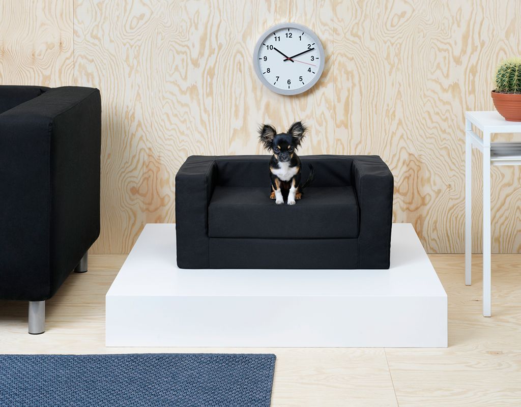 Sofá perro hotsell ikea