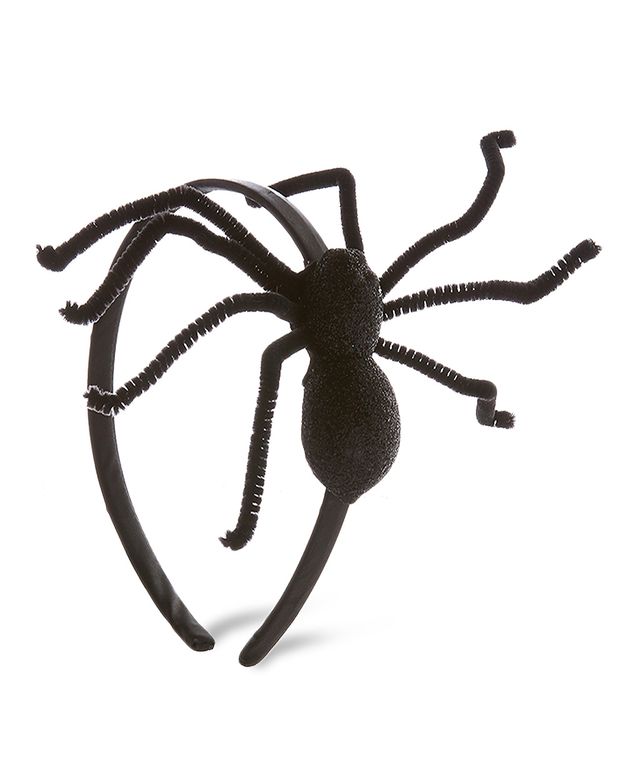 Spider, Tarantula, Invertebrate, Arachnid, Insect, Widow spider, Orb-weaver spider, Arthropod, Animal figure, Pest, 