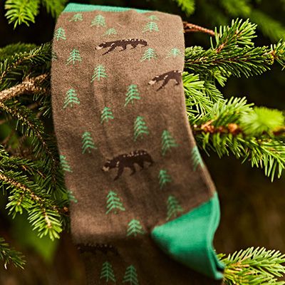 Woody plant, Terrestrial plant, Christmas decoration, Sock, Costume accessory, Pine family, Boot, Evergreen, Natural material, Conifer, 