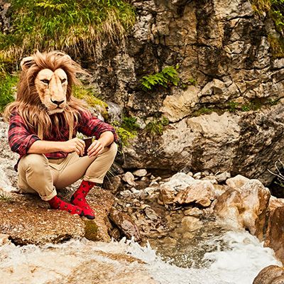 Lion, Bedrock, Rock, Big cats, Outcrop, Masai lion, Fur, Stream, Felidae, Fictional character, 