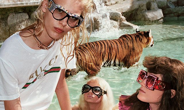 Eyewear, Bengal tiger, Tiger, Glasses, Felidae, Sunglasses, Wildlife, Cool, Fun, Tourism, 