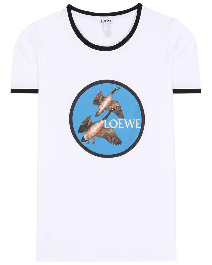 Sleeve, T-shirt, Azure, Electric blue, Aqua, Teal, Active shirt, Marine mammal, 