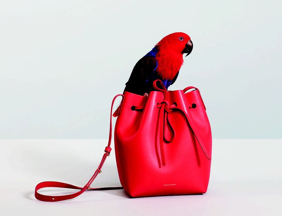 Parrot, Red, Bird, Bag, Carmine, Maroon, Coquelicot, Feather, Beak, Shoulder bag, 