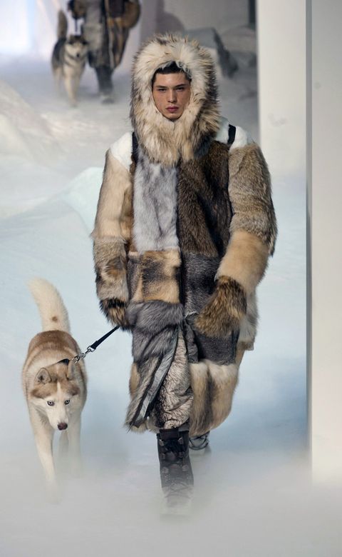 Winter, Vertebrate, Textile, Fur clothing, Dog breed, Dog, Natural material, Carnivore, Fashion, Jacket, 