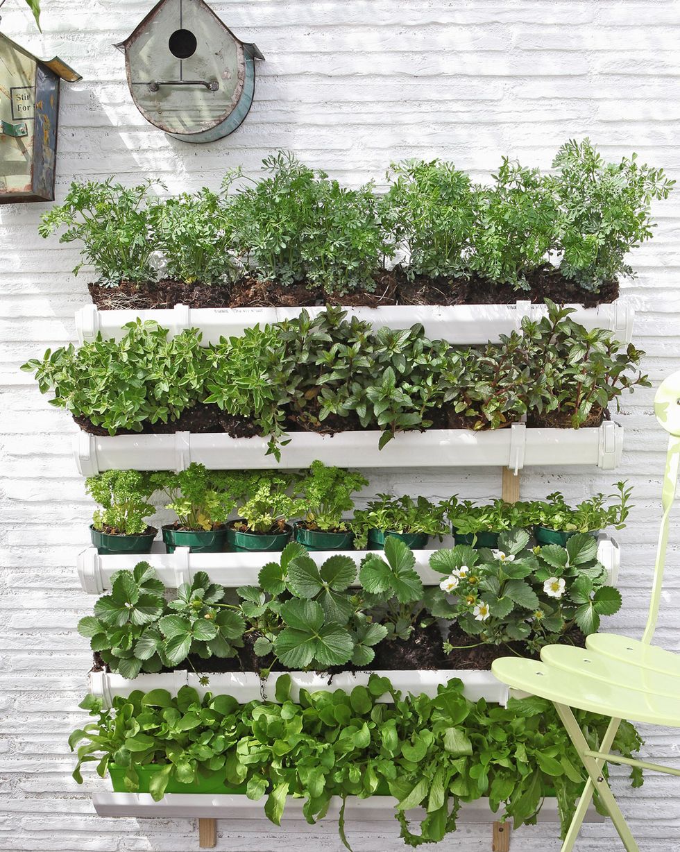 Monta tu propio jardín vertical (DIY)