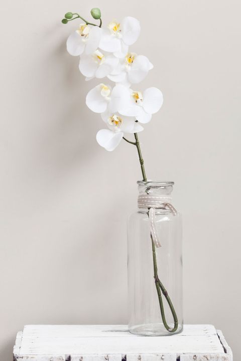 orquídea blanca artificial
