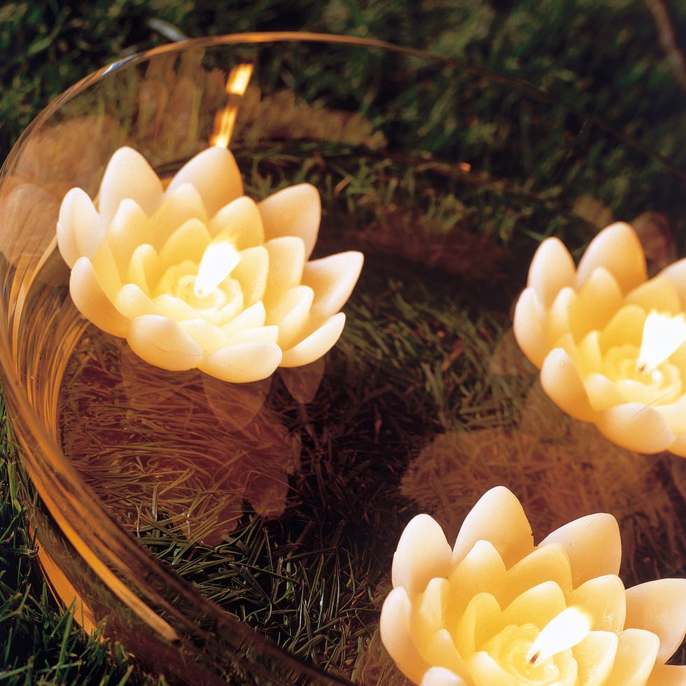 Candle, Petal, Lighting, Flower, Plant, Leaf, Spring, Grass, Centrepiece, Artificial flower, 