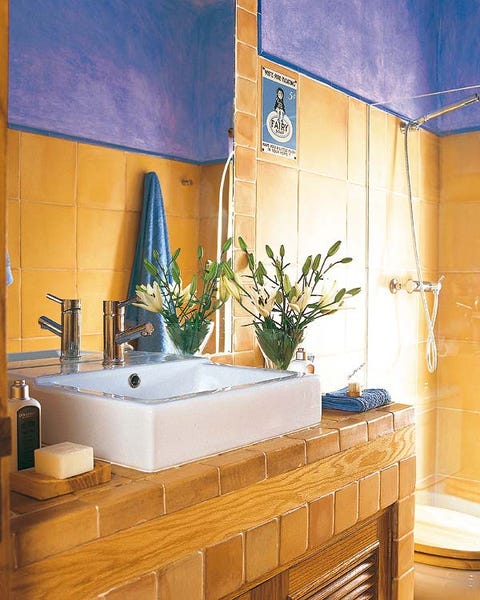 Property, Room, Interior design, Wall, Interior design, Majorelle blue, Flowerpot, Tile, Houseplant, Tap, 