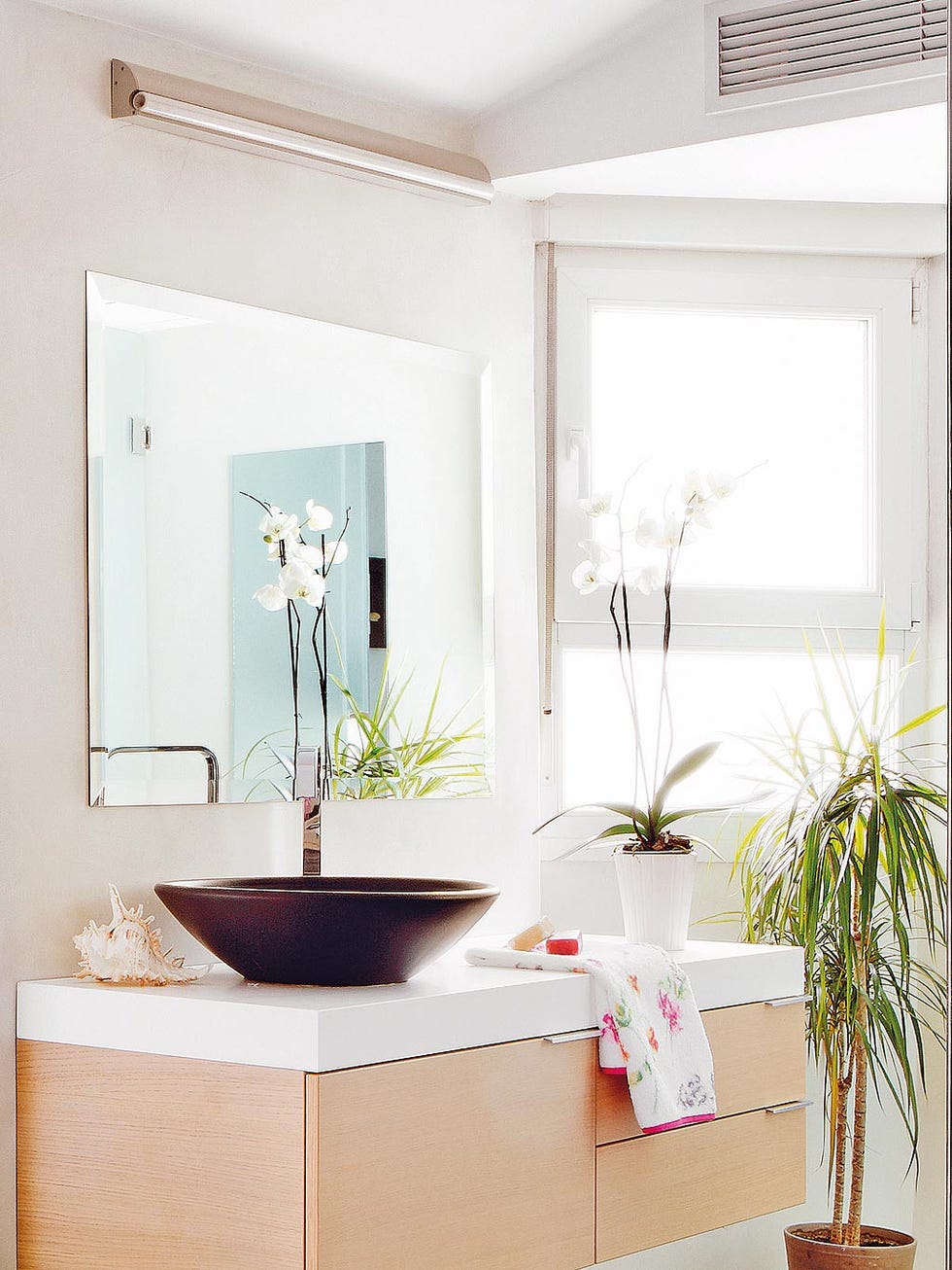 Room, Interior design, Property, Furniture, Bathroom, Pink, Ceiling, Houseplant, House, Table, 