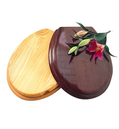 Brown, Leaf, Red, Amber, Magenta, Violet, Orange, Maroon, Purple, Tan, 